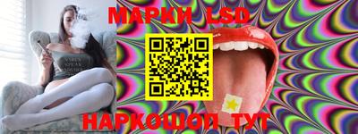 гидропоника Можайск