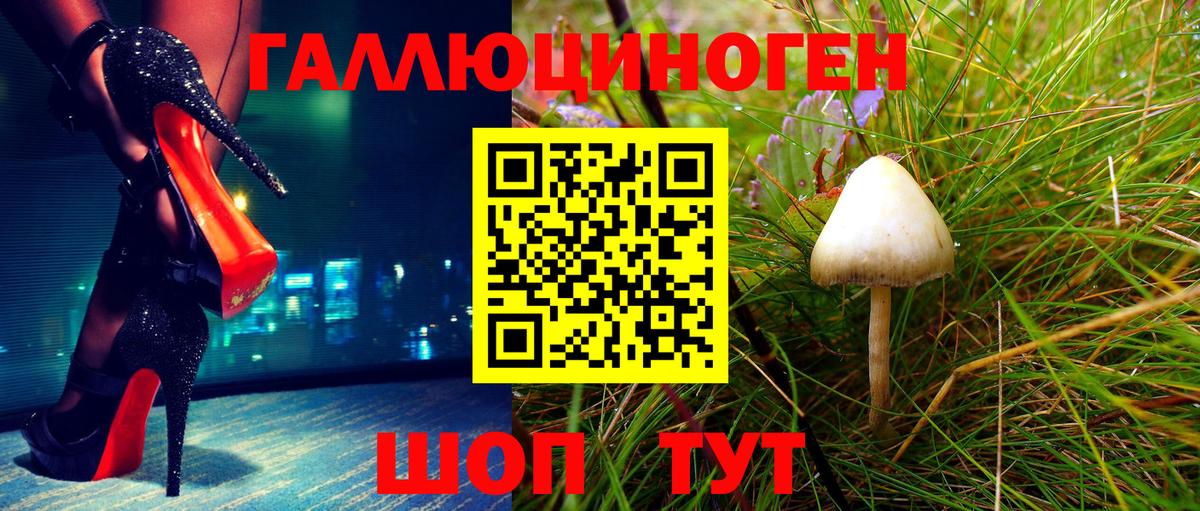 Псилоцибиновые грибы мицелий  купить наркотики сайты  Карачаевск  Вход с VPN 