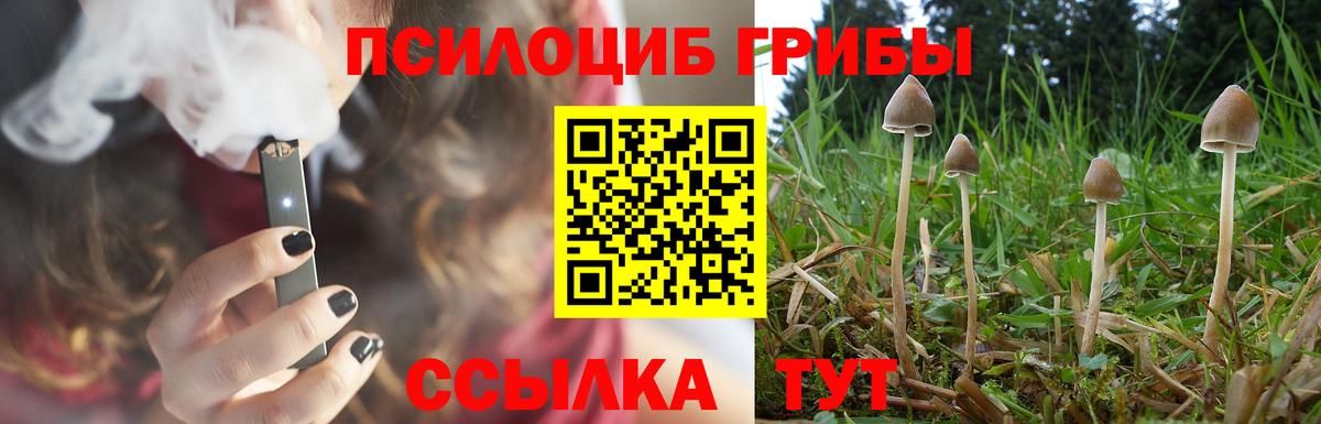 Галлюциногенные грибы GOLDEN TEACHER Карачаевск