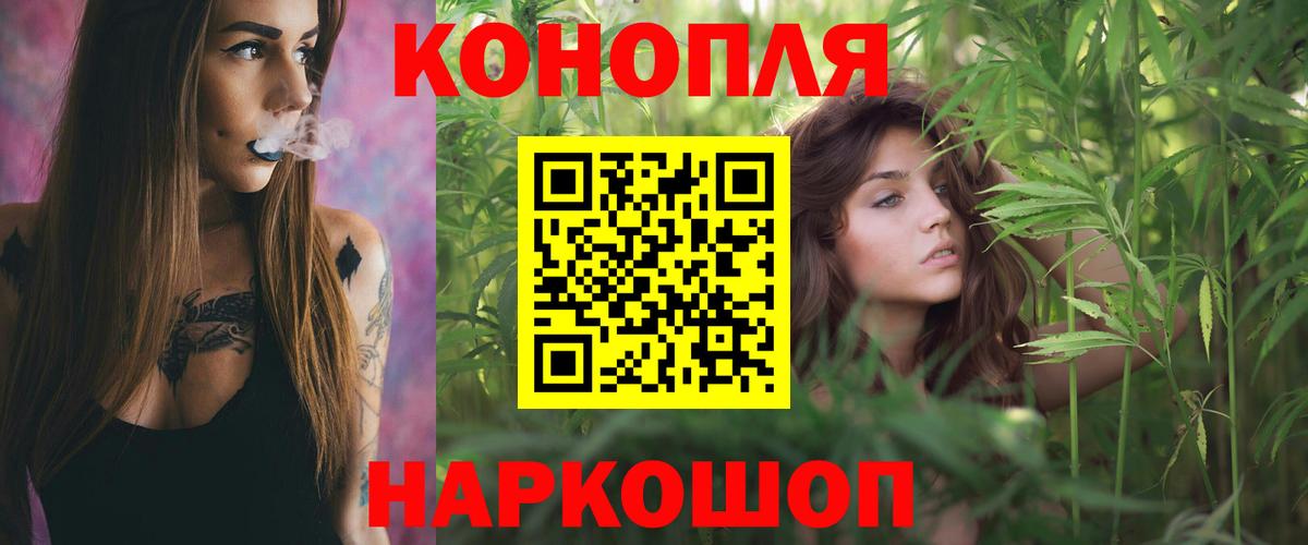 Шишки марихуана семена Карачаевск